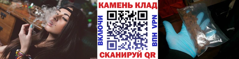 дарнет шоп  Зеленодольск  ГАШИШ индика сатива 