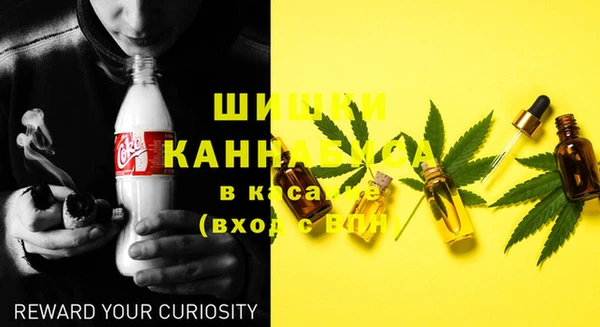 прущие крисы Ельня