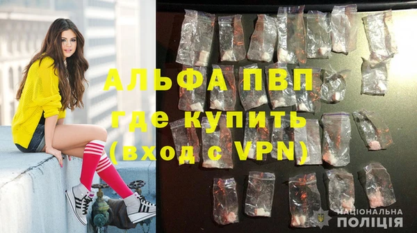 прущие крисы Ельня