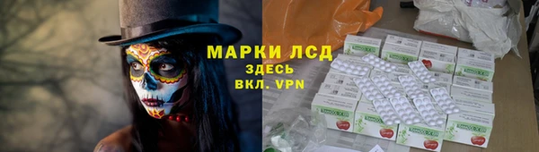 прущие крисы Ельня
