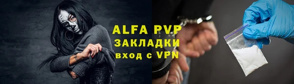 гидра Елизово