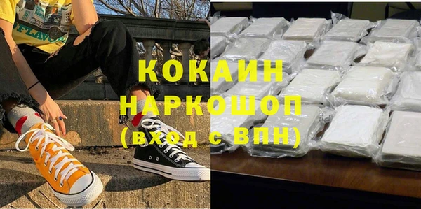 прущие крисы Ельня