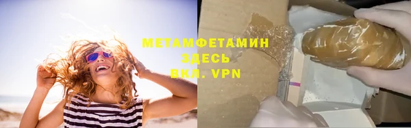 гидра Елизово