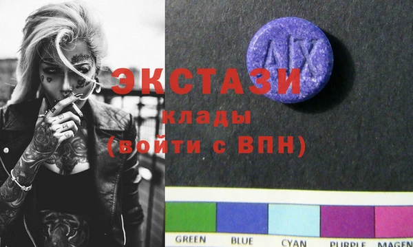 гидра Елизово