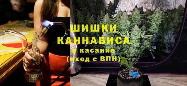 гидра Елизово