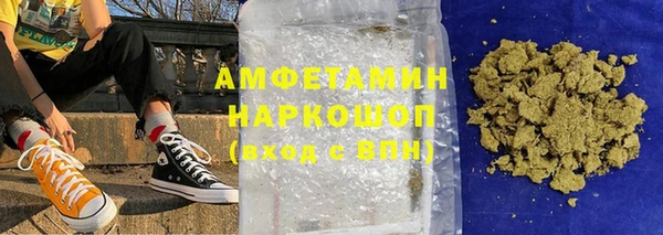 гидра Елизово