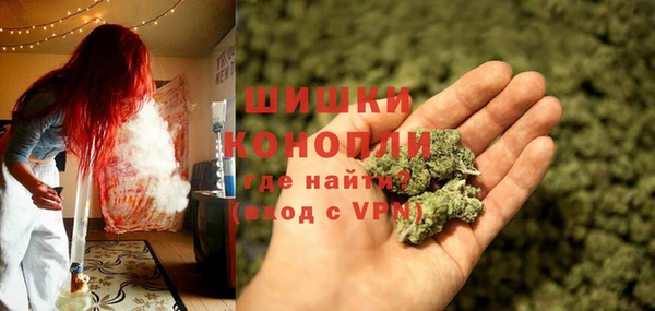 гидра Елизово
