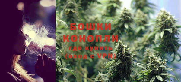гидра Елизово