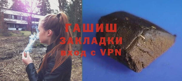гидра Елизово