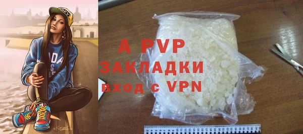 прущие крисы Ельня