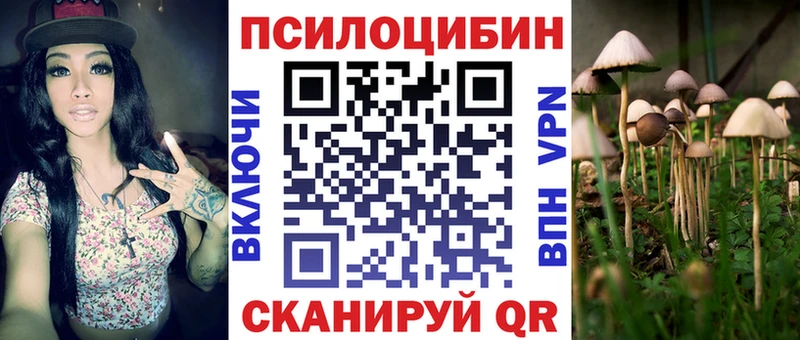 Псилоцибиновые грибы Psilocybine cubensis  Зеленодольск 