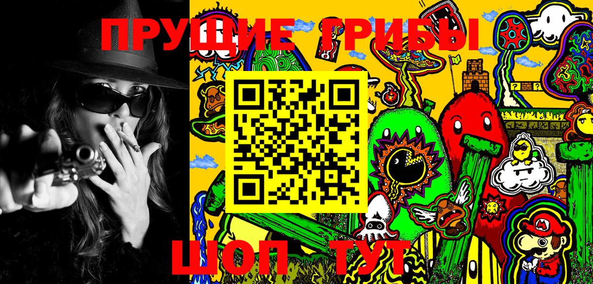 Галлюциногенные грибы MAGIC MUSHROOMS  купить наркотики цена  Зеленодольск 