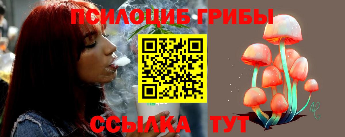 Галлюциногенные грибы прущие грибы  Вход с VPN  Зеленодольск  Галлюциногенные грибы Psilocybine cubensis 